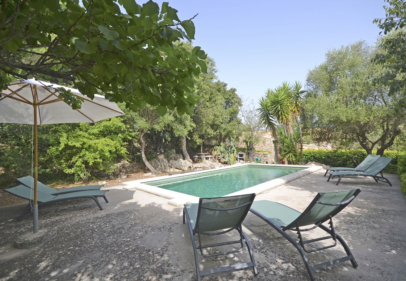 Piscina de la casa Romagueral rodeada de naturaleza en Mallorca