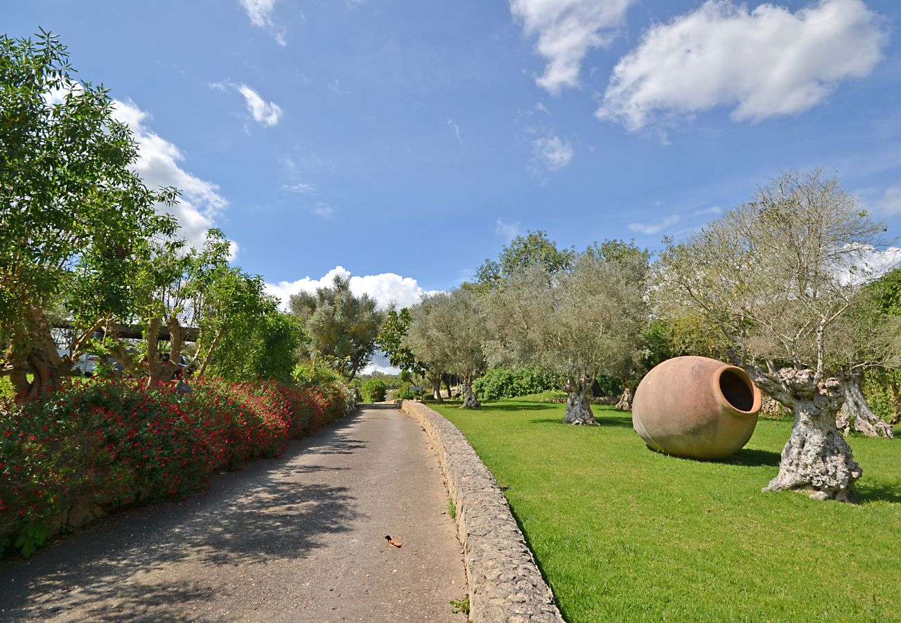 Casa rural en Petra - Pleta