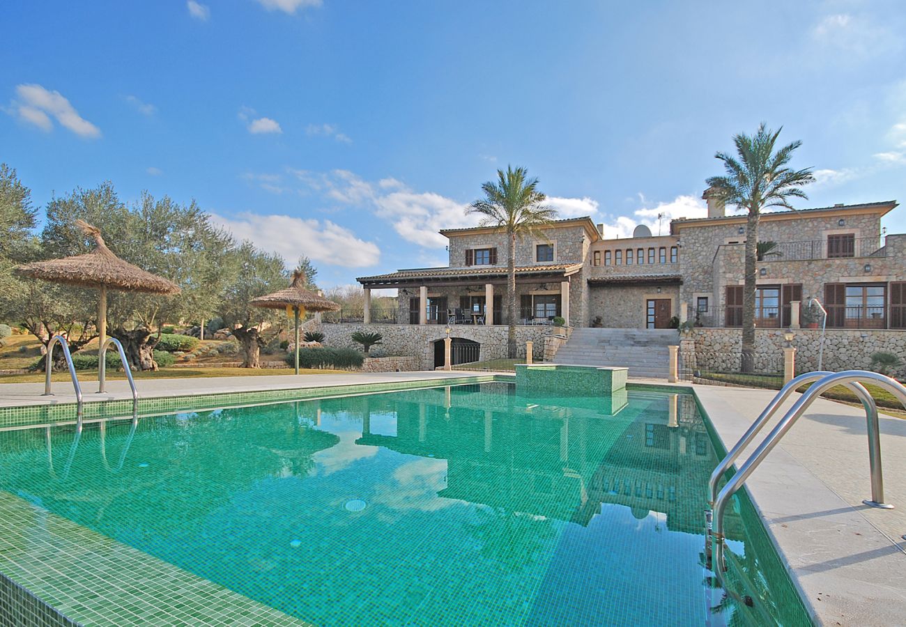 Blick auf den Pool von Canova, Haus für 16 Personen in Ariany, Mallorca