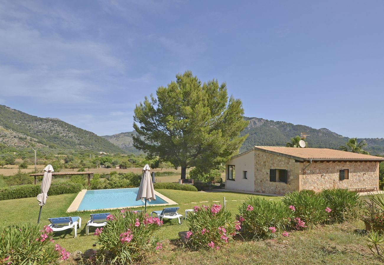 Blick auf Garten und Pool von La Cabaña de Pepe, Landhaus in Moscari