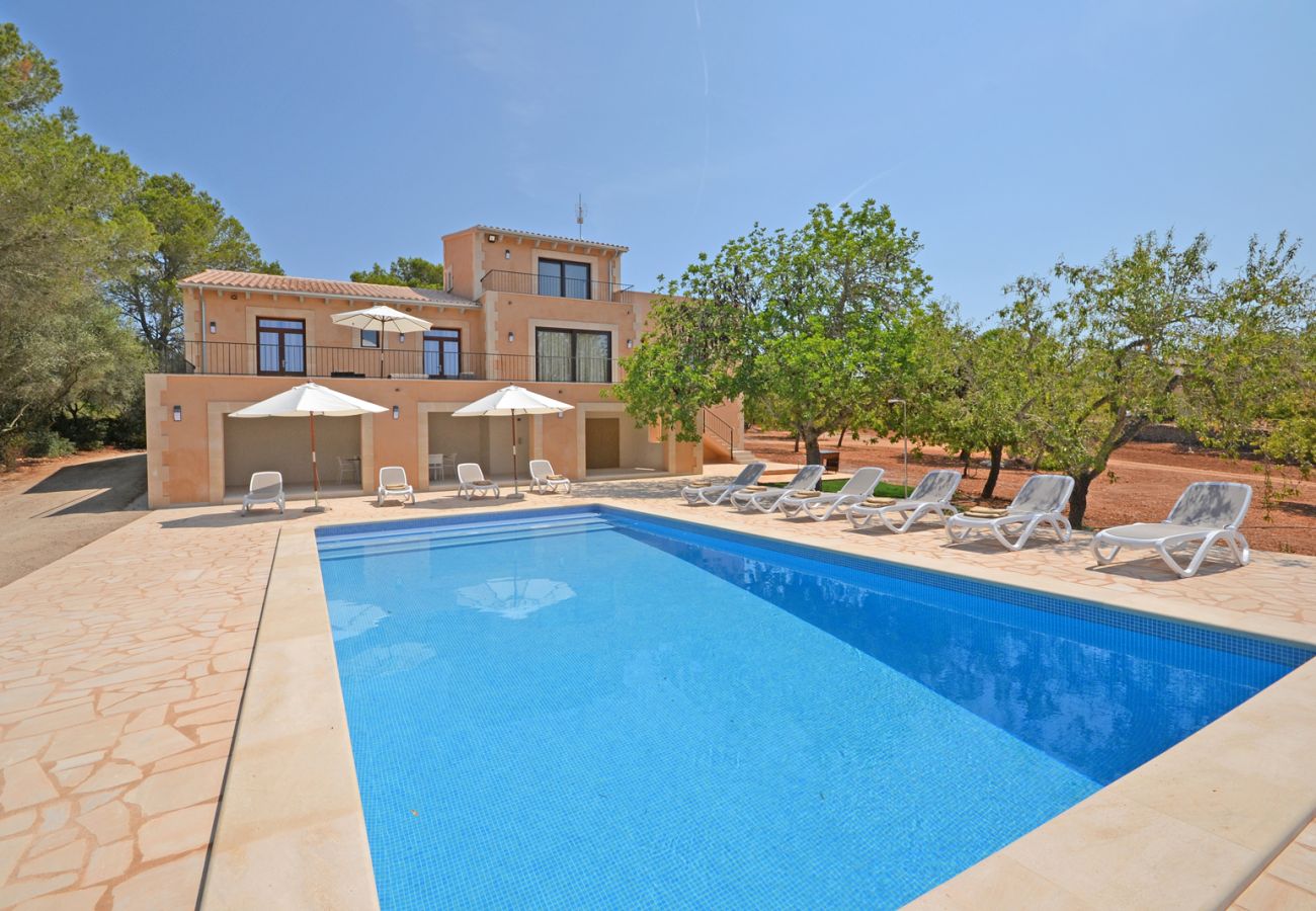 Blick auf den Pool von Romani 10, Landhaus in Campos