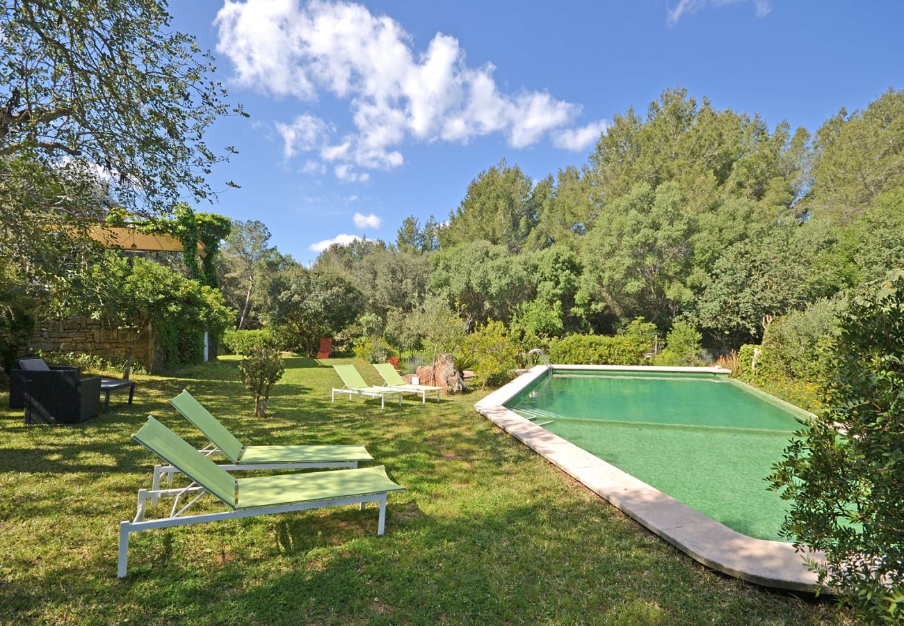 Landhaus in Alcudia - Spiros "Camp Roig"