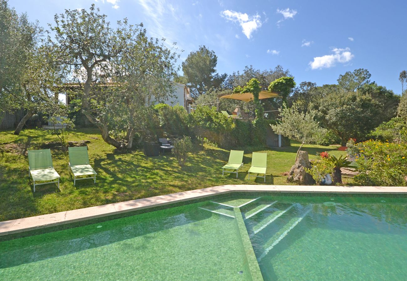 Landhaus in Alcudia - Spiros "Camp Roig"