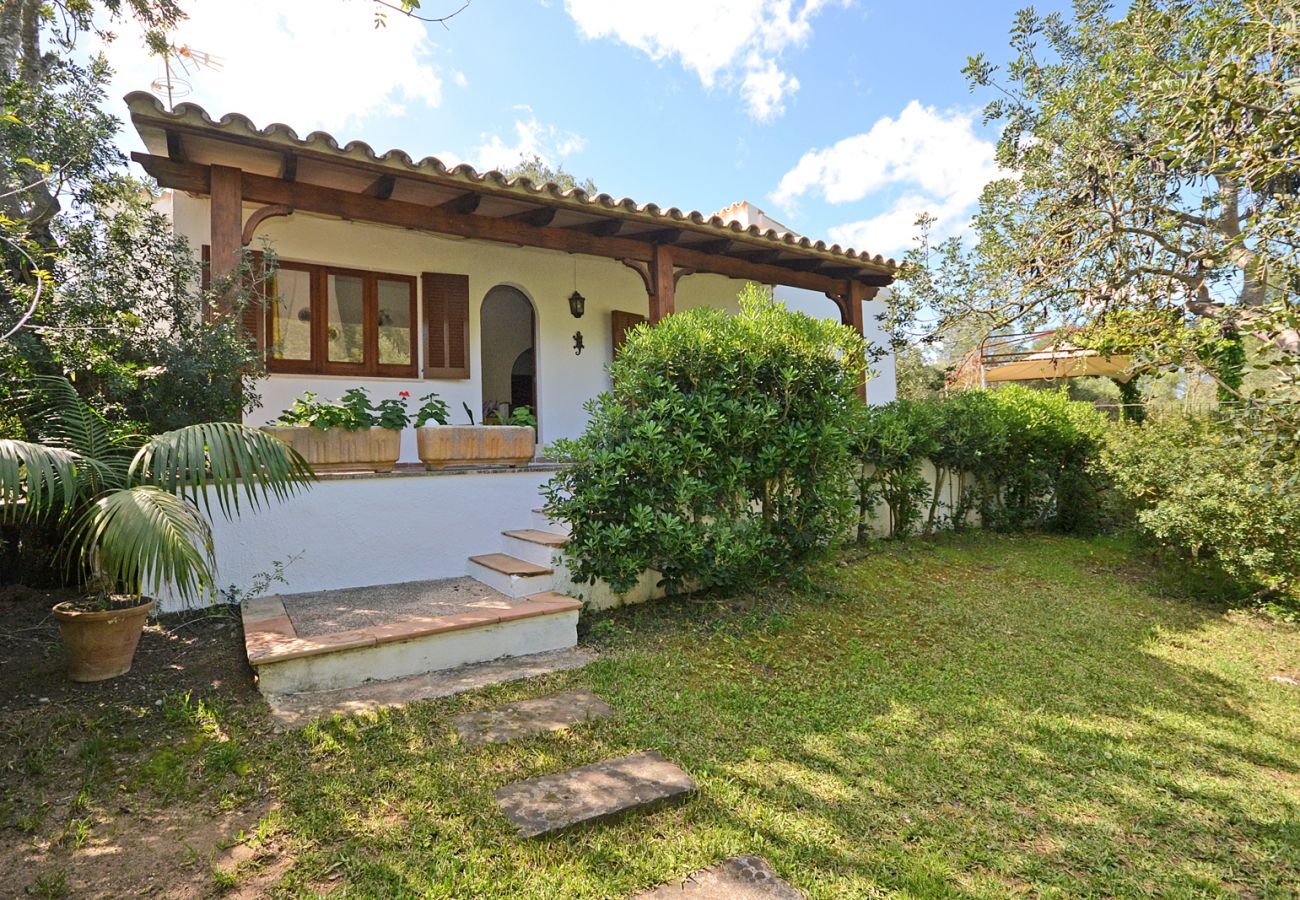 Landhaus in Alcudia - Spiros "Camp Roig"