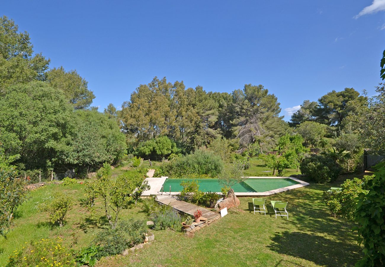 Landhaus in Alcudia - Spiros "Camp Roig"