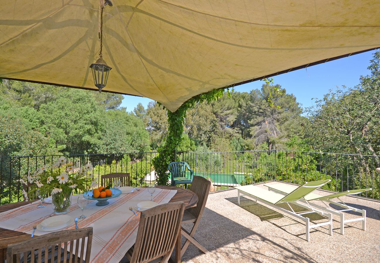 Landhaus in Alcudia - Spiros "Camp Roig"