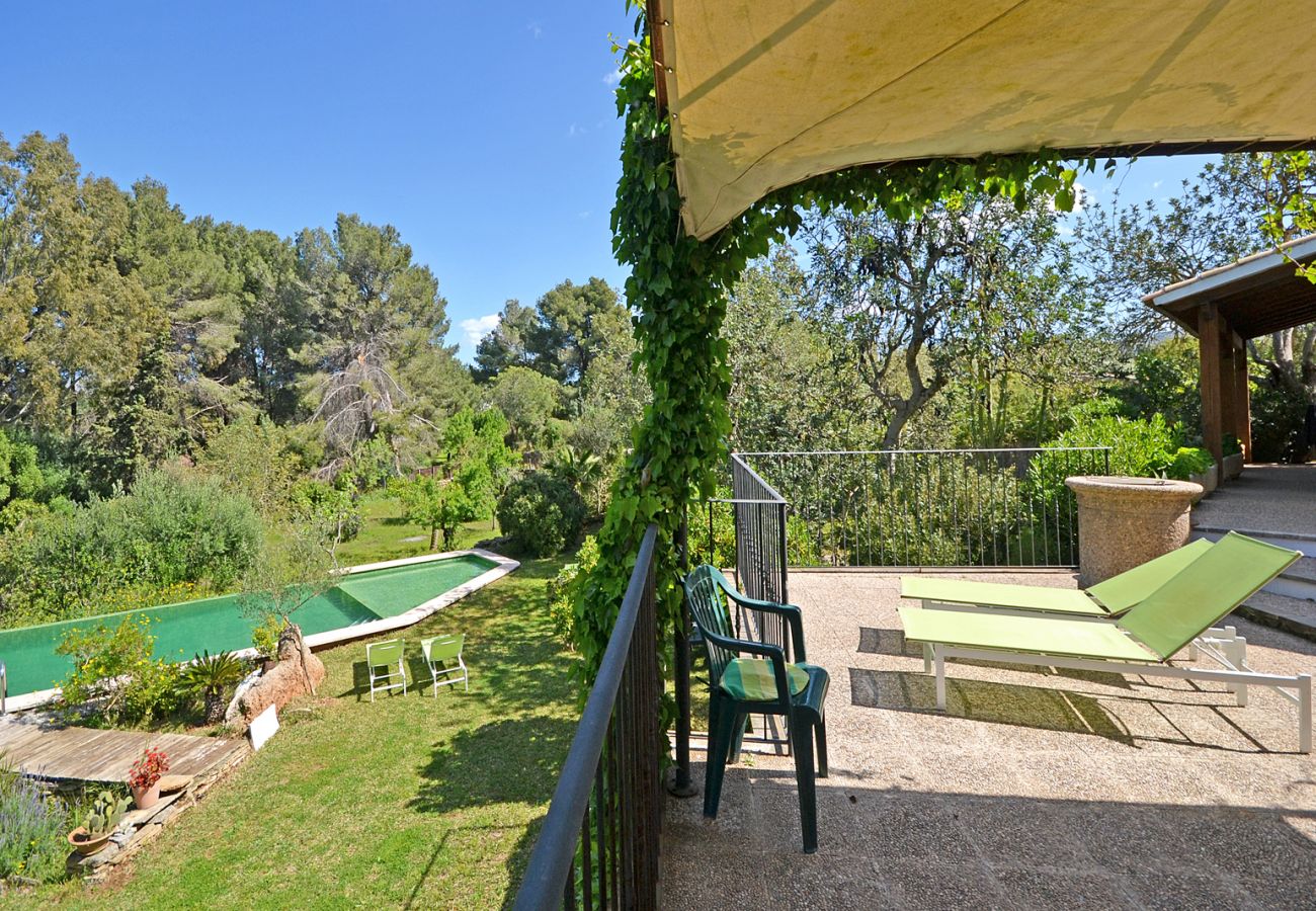 Landhaus in Alcudia - Spiros "Camp Roig"