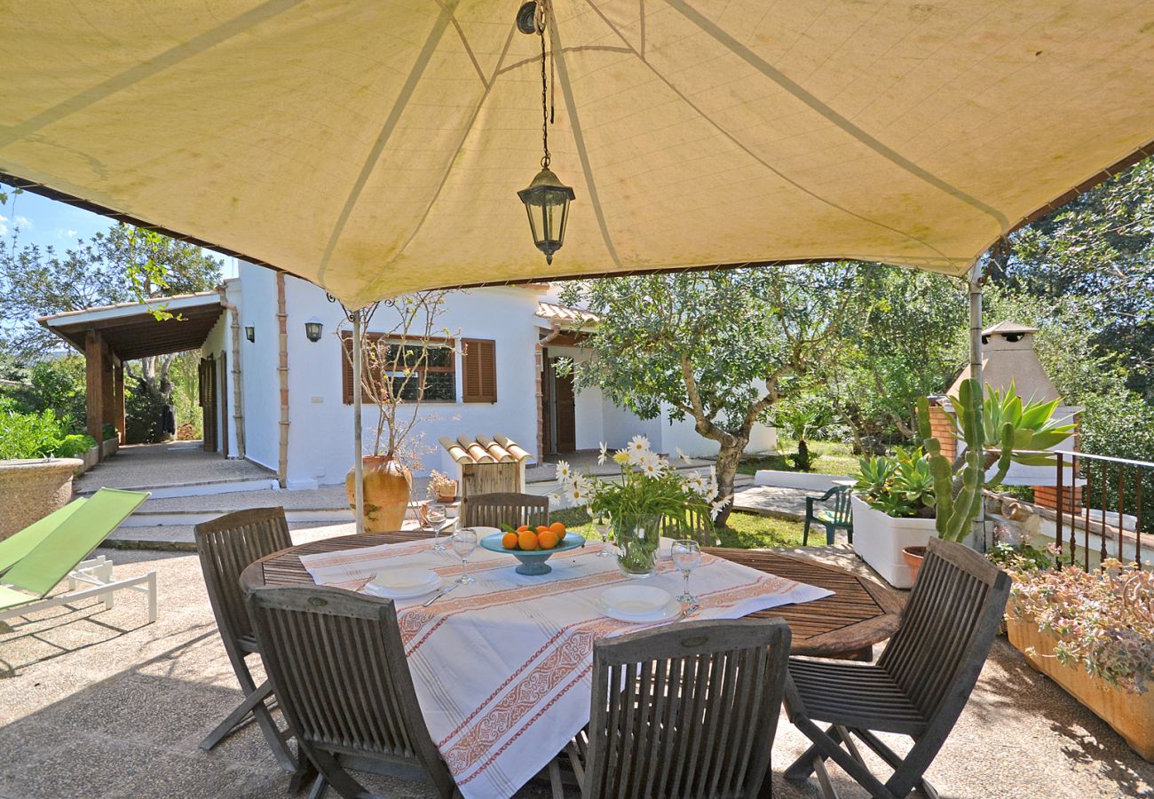 Landhaus in Alcudia - Spiros "Camp Roig"