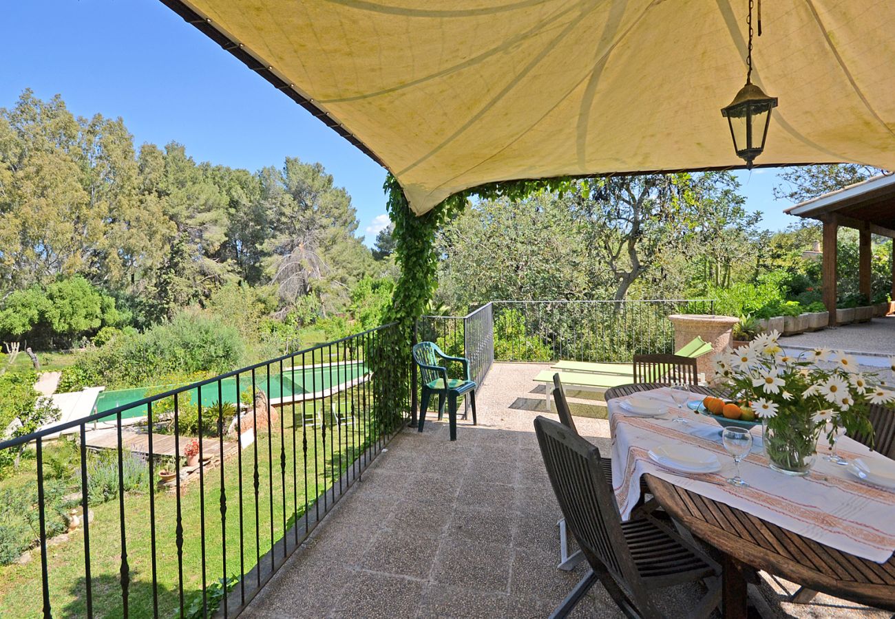 Landhaus in Alcudia - Spiros "Camp Roig"