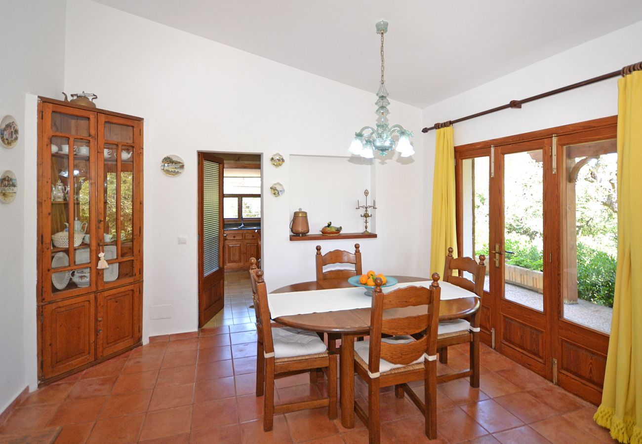 Landhaus in Alcudia - Spiros "Camp Roig"
