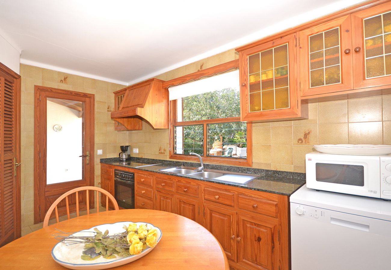 Landhaus in Alcudia - Spiros "Camp Roig"