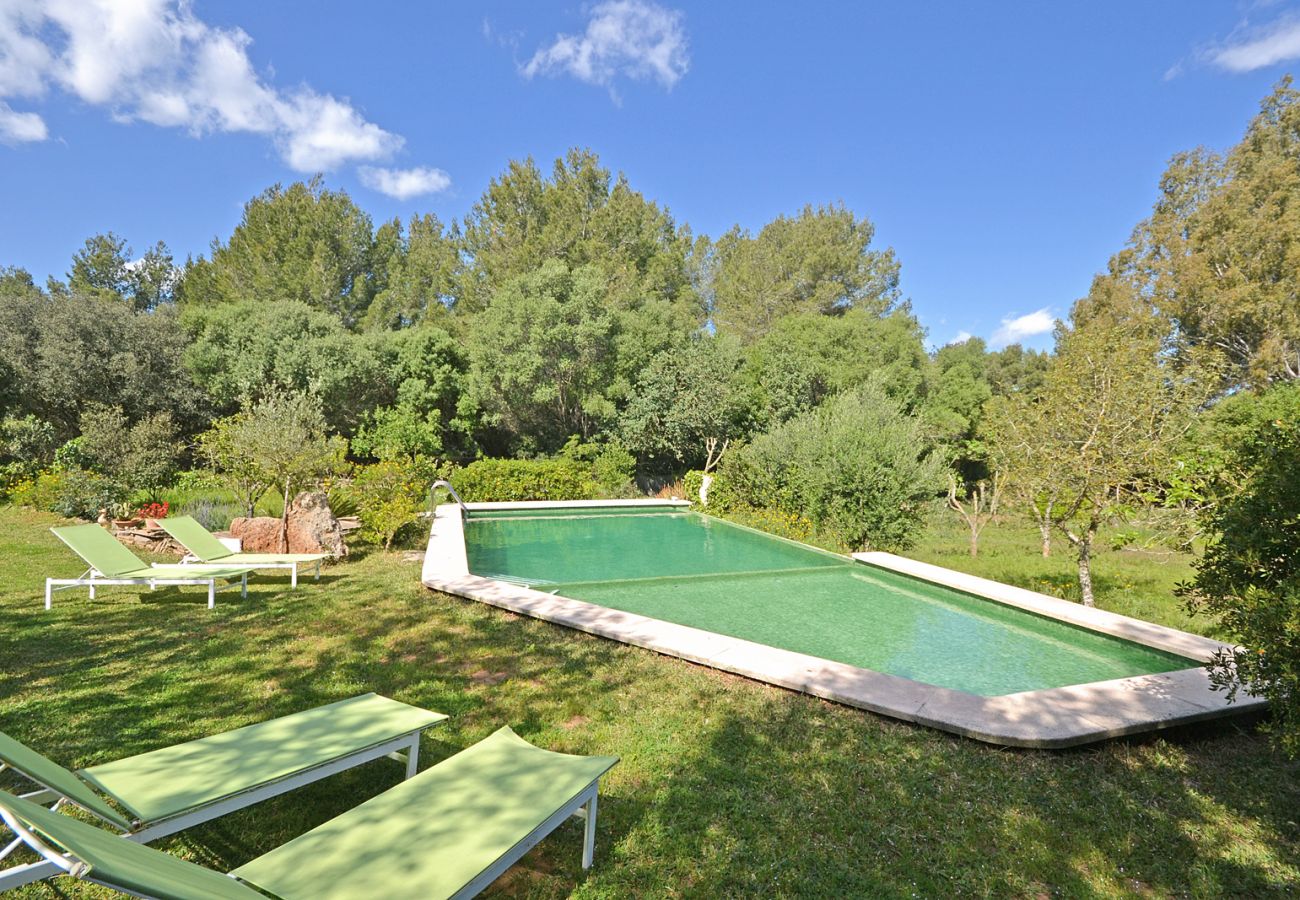 Landhaus in Alcudia - Spiros "Camp Roig"