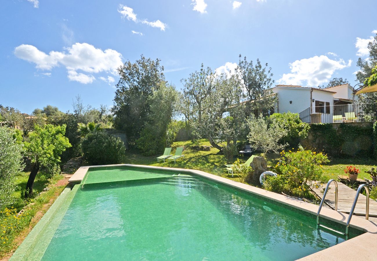 Landhaus in Alcudia - Spiros "Camp Roig"