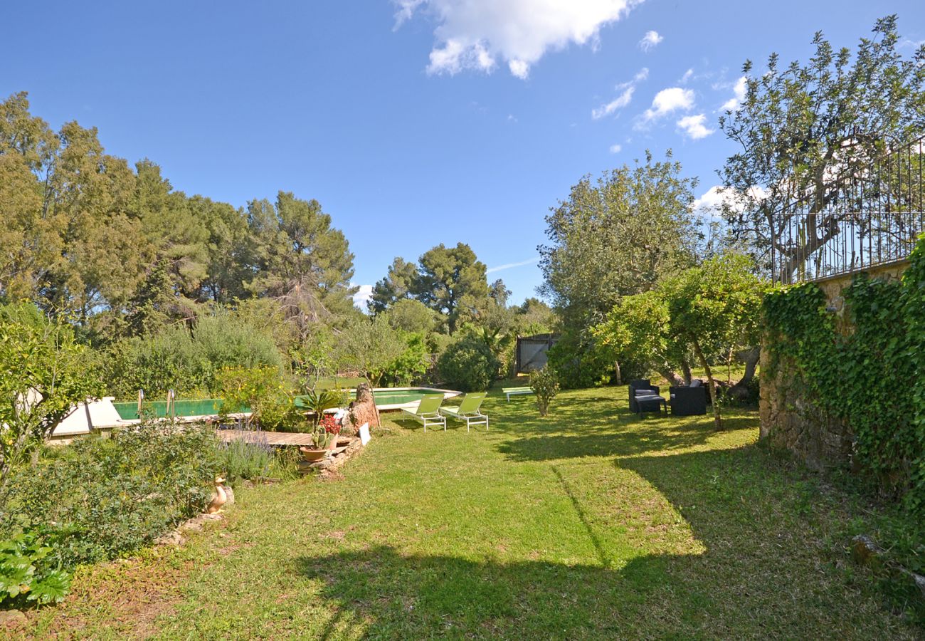 Landhaus in Alcudia - Spiros "Camp Roig"