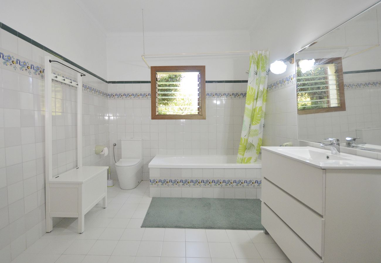 Landhaus in Alcudia - Spiros "Camp Roig"