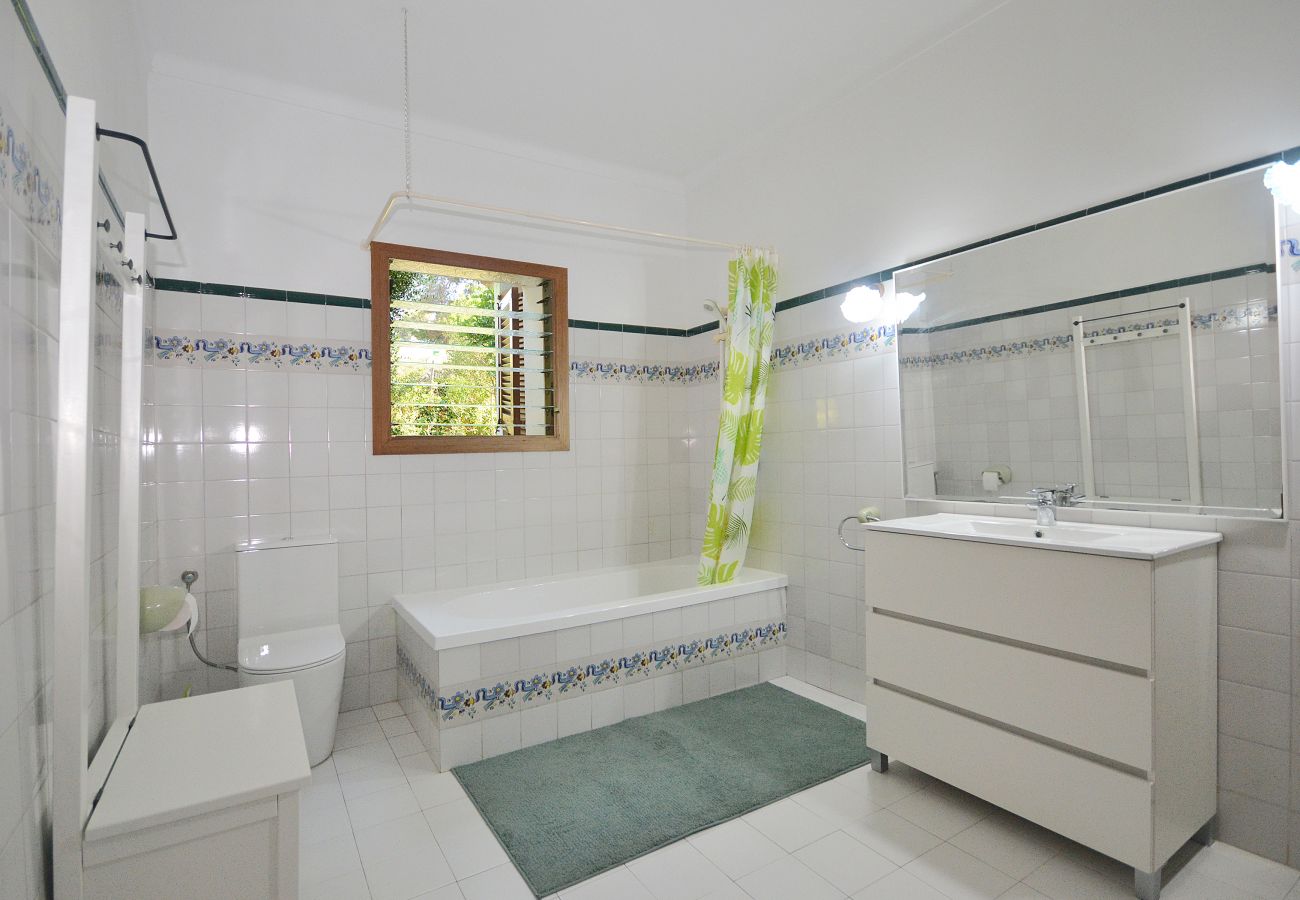 Landhaus in Alcudia - Spiros "Camp Roig"