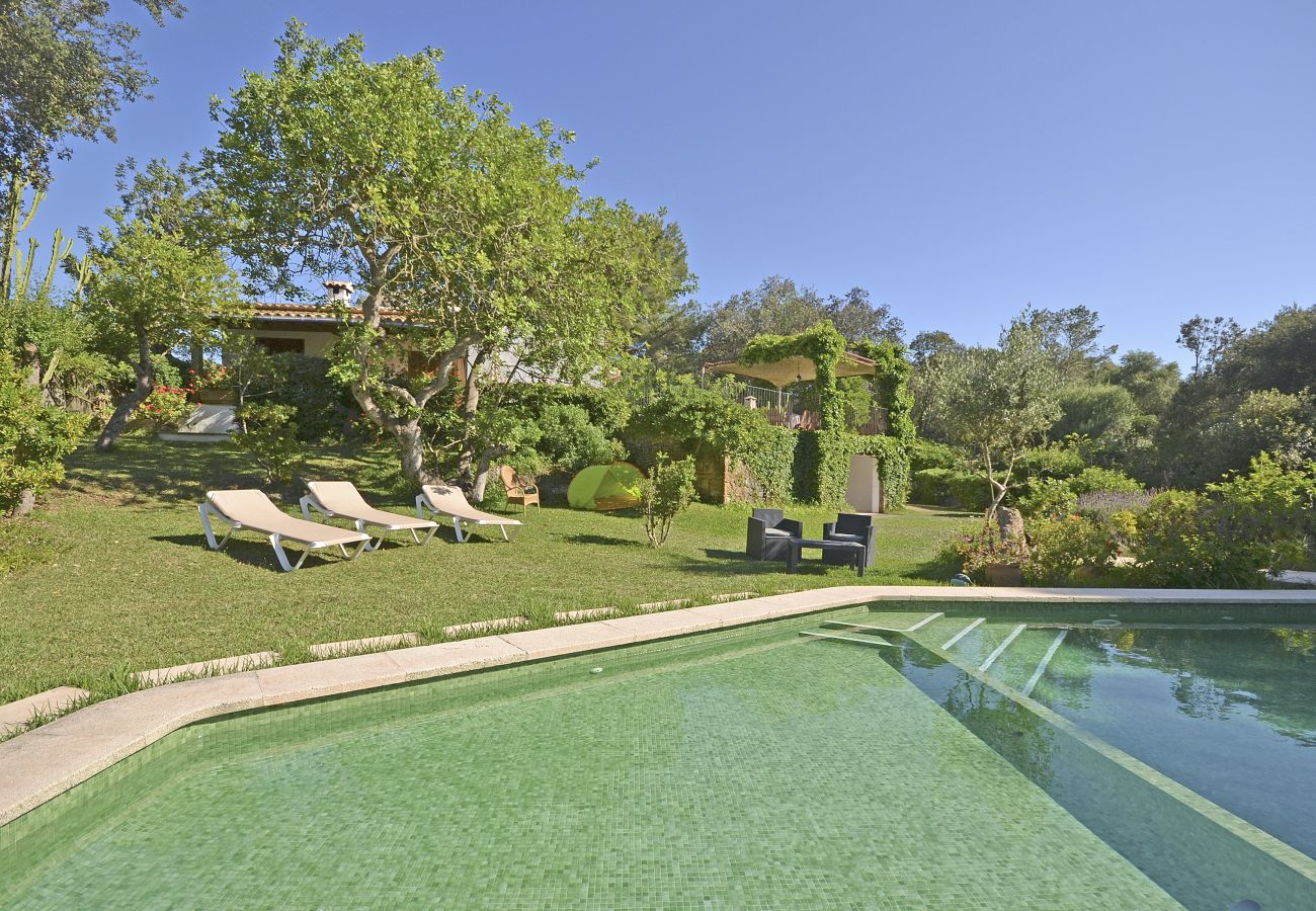 Landhaus in Alcudia - Spiros "Camp Roig"