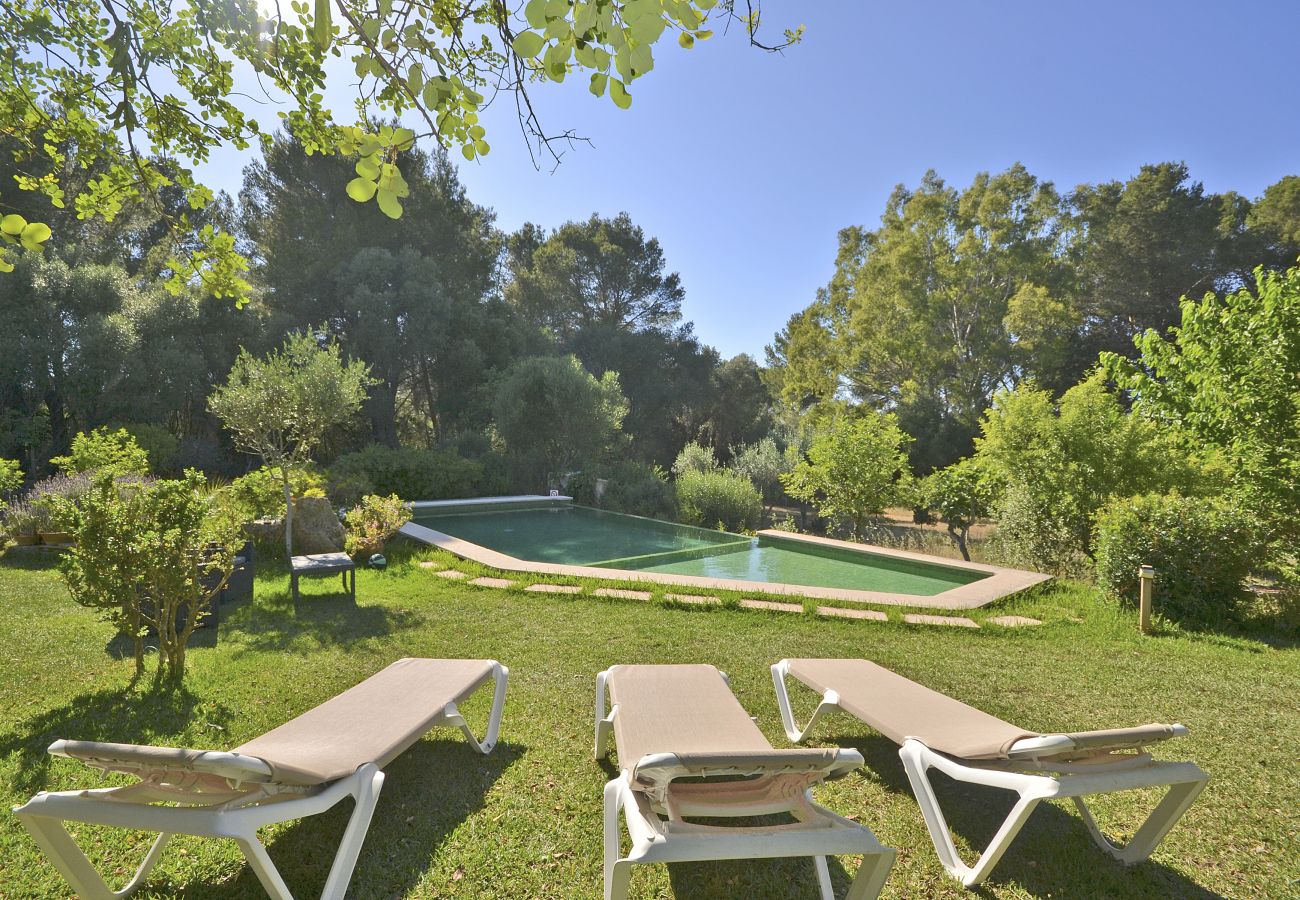 Landhaus in Alcudia - Spiros "Camp Roig"
