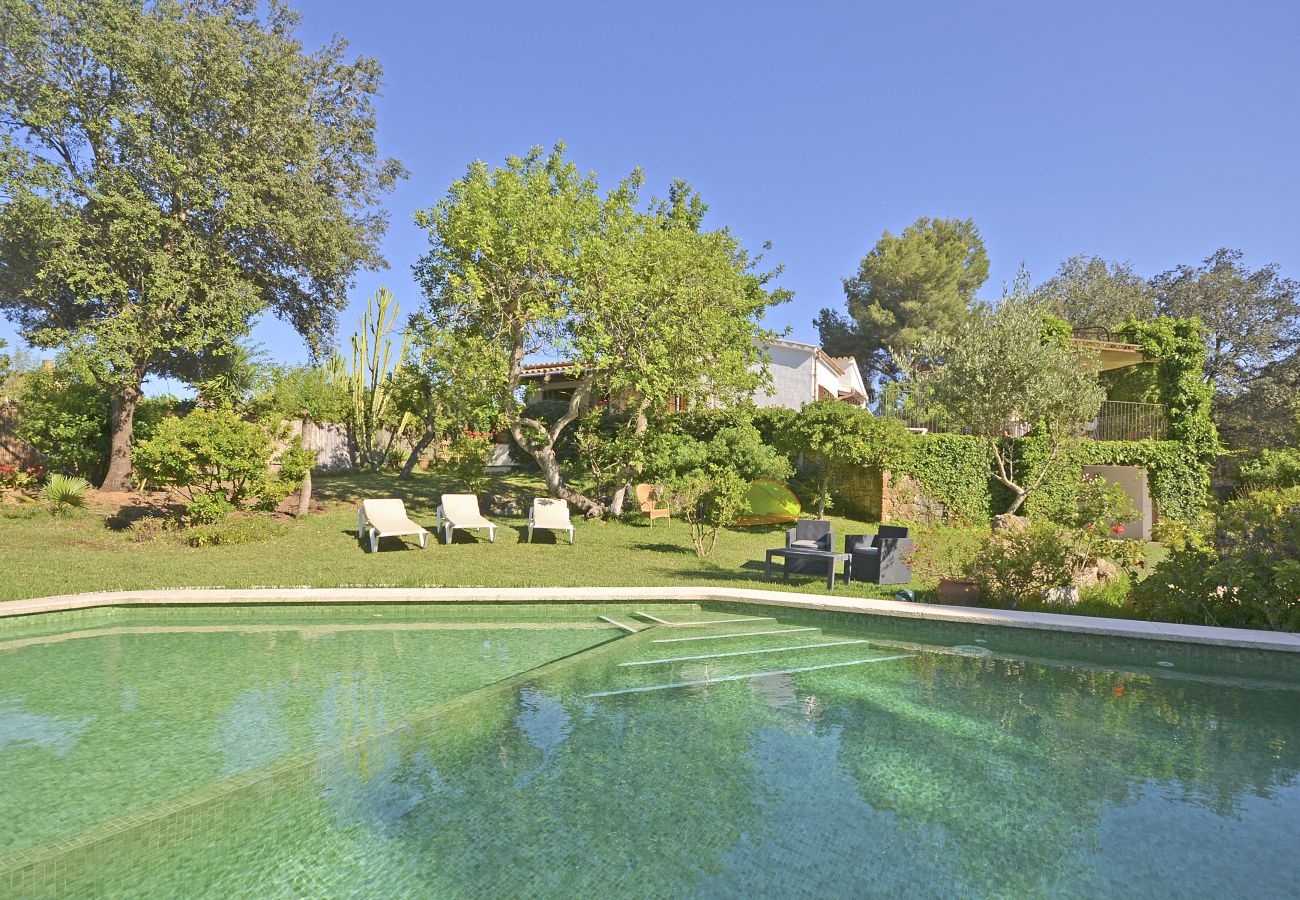 Landhaus in Alcudia - Spiros "Camp Roig"