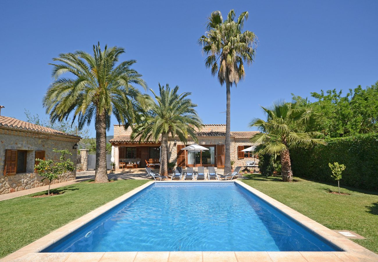 View of the pool surrounded by palm trees at Pou Nou, Inca, Mallorca