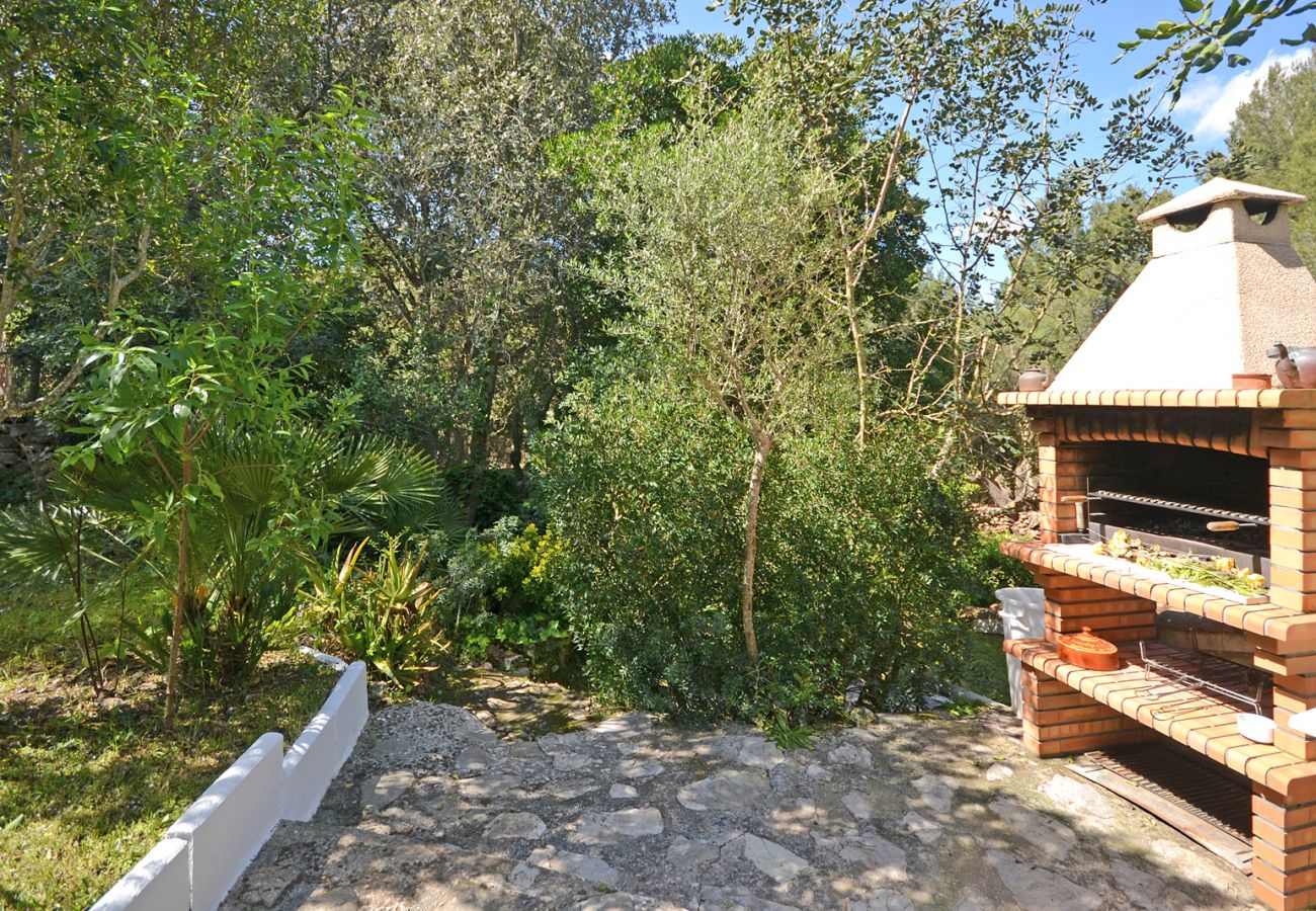 Cottage in Alcudia - Spiros "Camp Roig"