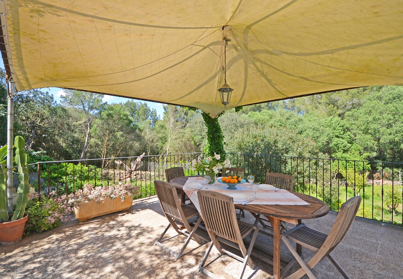 Cottage in Alcudia - Spiros "Camp Roig"