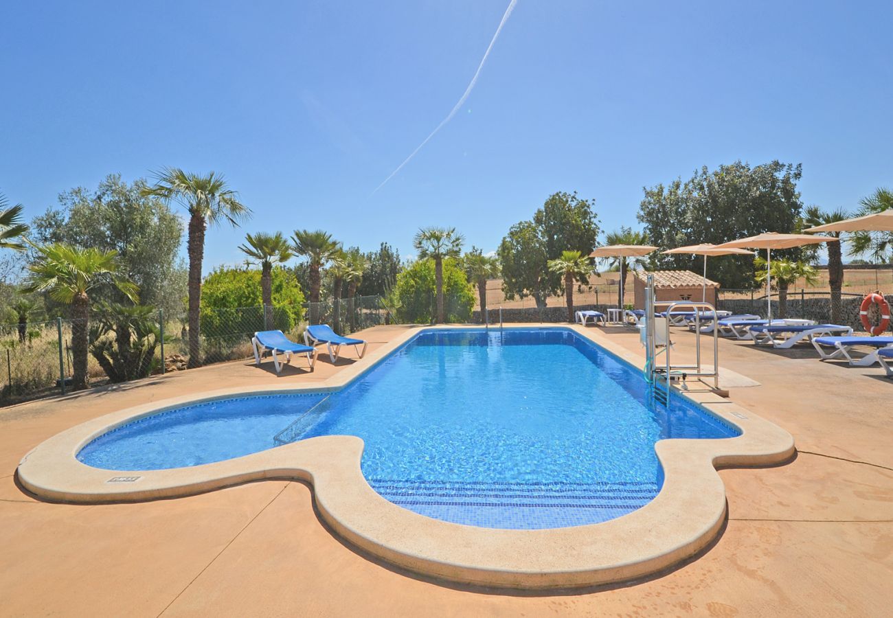 Cottage in Can Picafort - Palmitos 2