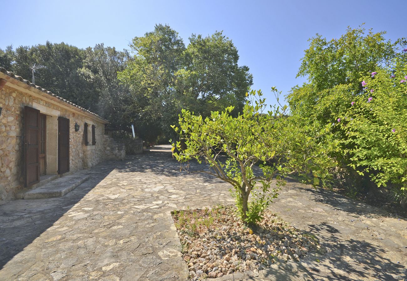 Cottage in Buger - Sestadors