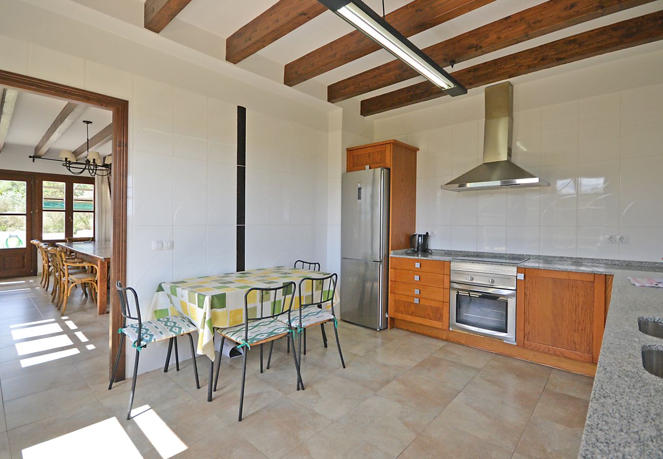 Cottage in Petra - Pleta